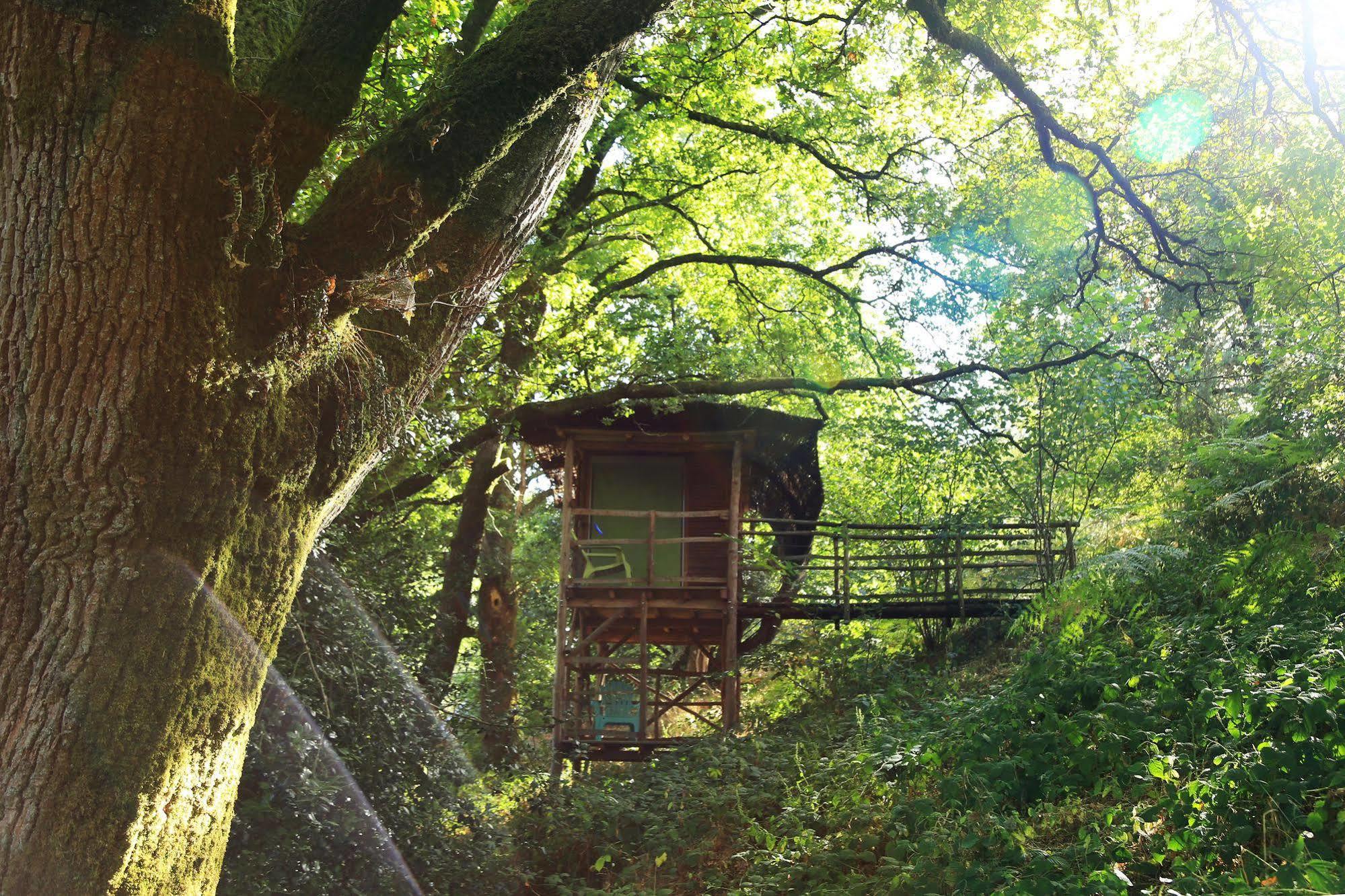 Terragora Lodges - Hebergement Atypique * Les Epesses